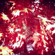 Illustration for article titled Shooting Challenge Fall Leaves Gallery 10